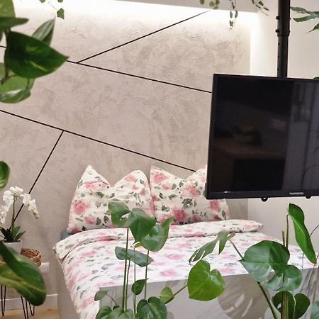 Magic House Apartament Proszowska 58 II بوخنية المظهر الخارجي الصورة