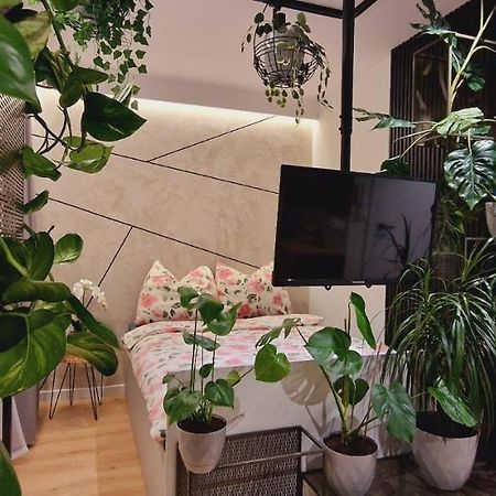 Magic House Apartament Proszowska 58 II بوخنية المظهر الخارجي الصورة