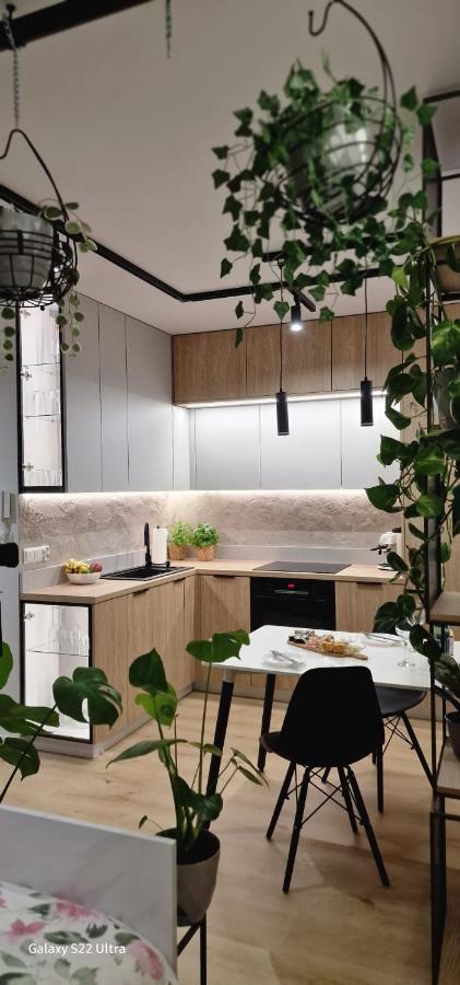 Magic House Apartament Proszowska 58 II بوخنية المظهر الخارجي الصورة