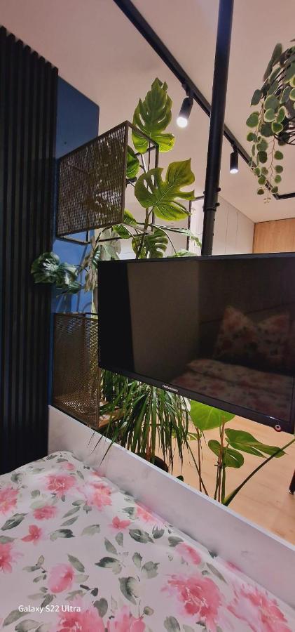 Magic House Apartament Proszowska 58 II بوخنية المظهر الخارجي الصورة