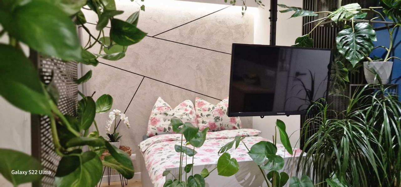 Magic House Apartament Proszowska 58 II بوخنية المظهر الخارجي الصورة