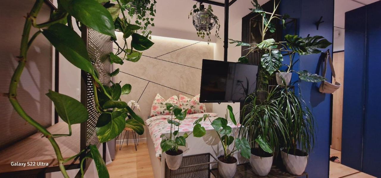 Magic House Apartament Proszowska 58 II بوخنية المظهر الخارجي الصورة